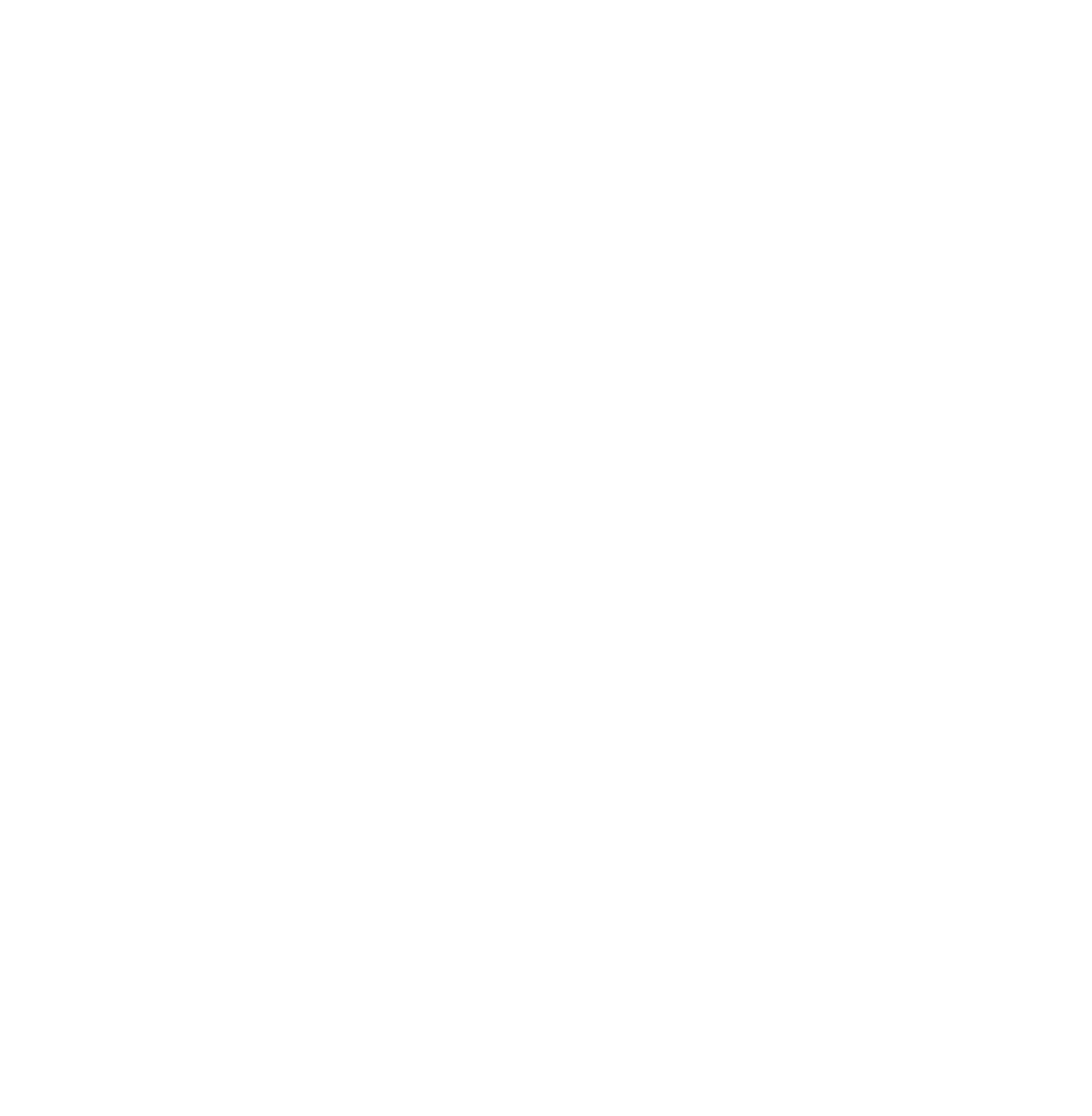 twitter social icon